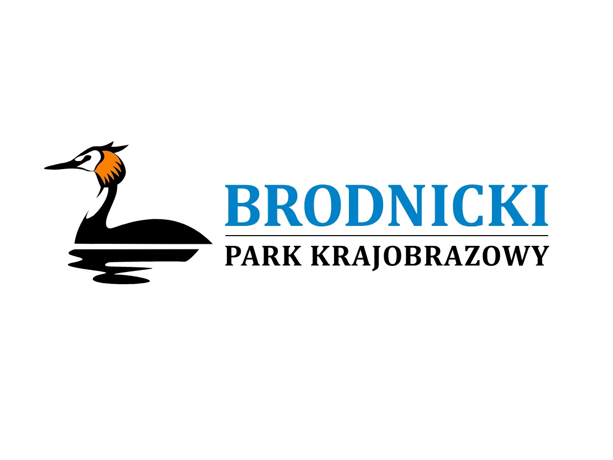 Brodnicki Park Krajobrazowy | Pojezierze Brodnickie | Warmia i Mazury